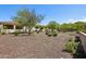 Low maintenance backyard showcasing desert landscaping, native plants, and a serene atmosphere at 16946 W Vernon Ave, Goodyear, AZ 85395