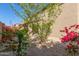 View of backyard featuring desert landscaping with pea gravel and green foliage and pink flowering plants at 17736 W Cassia Way, Goodyear, AZ 85338