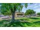 Well-maintained single-story home with a lush green lawn and mature shade trees providing a serene outdoor setting at 21222 N Aurora Dr, Sun City West, AZ 85375
