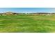 Expansive green space in a residential community, ideal for recreation and community gatherings at 22386 N Daniel Dr, Maricopa, AZ 85138