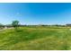 Lush green space in a well-maintained community at 22386 N Daniel Dr, Maricopa, AZ 85138