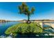Landscaped island with lush greenery in a canal, offering a unique and visually appealing community feature at 22386 N Daniel Dr, Maricopa, AZ 85138