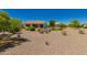 Spacious backyard featuring mature desert plants and gravel landscaping for low maintenance at 26270 W Horsham Ct, Buckeye, AZ 85396