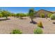 Low maintenance desert landscaped backyard featuring native cacti and bushes with gravel ground cover at 26270 W Horsham Ct, Buckeye, AZ 85396