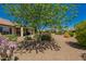 Well-maintained backyard with gravel landscaping, mature trees and desert plants under a clear blue sky at 26270 W Horsham Ct, Buckeye, AZ 85396