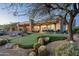 Beautiful backyard boasts a putting green surrounded by desert landscaping, creating a serene outdoor retreat at 41611 N 113Th Pl, Scottsdale, AZ 85262
