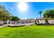 Expansive backyard with well-maintained lawn, pool, spa, and covered outdoor living spaces at 8031 N 12Th Ave, Phoenix, AZ 85021