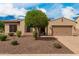 Inviting single-Gathering home featuring a two-car garage, desert landscaping, and mature shade tree at 9390 W Louise Dr, Peoria, AZ 85383