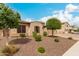 Landscaped front yard showcasing desert plants, mature trees, and manicured shrubbery at 9390 W Louise Dr, Peoria, AZ 85383
