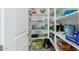 Walk-in pantry offering ample shelving for organized storage of food items and kitchen appliances at 9390 W Louise Dr, Peoria, AZ 85383