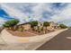Community street showcasing single-Gathering homes with attractive exteriors and lush landscaping at 9390 W Louise Dr, Peoria, AZ 85383