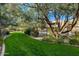 A well-maintained green space with beautiful landscaping and mature trees at 13450 E Via Linda St # 1019, Scottsdale, AZ 85259