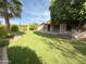 Scenic backyard with artificial grass, mature trees, and desert landscaping at 2453 E Nathan Way, Chandler, AZ 85225