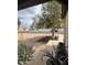 Charming front yard view from porch, showcasing desert landscaping and a peaceful residential street at 12512 N 85Th Ave, Peoria, AZ 85381