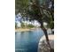 Scenic pond with mature trees along the shoreline and a walking path at 12512 N 85Th Ave, Peoria, AZ 85381
