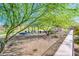 Tranquil community park featuring picnic tables, verdant landscaping, and a walking path at 17054 W Saguaro Park Ln, Surprise, AZ 85387