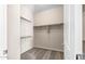 Walk-in closet with built-in shelving and carpet flooring at 18840 N 269Th Ave, Buckeye, AZ 85396