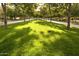 Lush green landscaping along the road with mature trees, creating a peaceful and shaded scene at 20793 W San Miguel Ave, Buckeye, AZ 85396