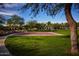 Outdoor basketball court with well-maintained surface, surrounded by lush green grass and mature trees at 21564 W Pierson St, Buckeye, AZ 85396