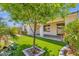 Lush backyard featuring a covered patio, manicured lawn, and tasteful landscaping, perfect for outdoor enjoyment at 22472 E Sonoqui Blvd, Queen Creek, AZ 85142