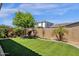 Well-maintained backyard featuring lush green synthetic grass, mature landscaping, and a block fence for privacy at 22472 E Sonoqui Blvd, Queen Creek, AZ 85142