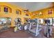 Community gym with treadmills, ellipticals, and other exercise equipment in a bright room at 10030 W Indian School Rd # 221, Phoenix, AZ 85037