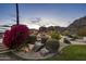 Lush landscaping with colorful bougainvillea and rock features adds beauty to the property at 11809 S Montezuma Ct, Phoenix, AZ 85044