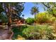 Lush backyard featuring mature trees, well-maintained lawn, and ample space for recreation at 1246 E Cambridge Ave, Phoenix, AZ 85006