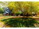 Secluded backyard oasis with a mature tree, creating a shady and tranquil outdoor space at 1246 E Cambridge Ave, Phoenix, AZ 85006