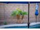 Backyard featuring a sparkling pool with clear blue water and meticulously landscaped surroundings at 17424 W Willow Ave, Surprise, AZ 85388