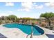 Sparkling pool surrounded by desert landscaping and a lush green lawn at 20655 N 273Rd Ave, Buckeye, AZ 85396
