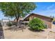 A private backyard featuring a covered patio, mature trees and desert landscaping at 2467 E Winchester Pl, Chandler, AZ 85286