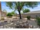 Expansive backyard featuring mature trees, desert landscaping and a rock water feature at 2467 E Winchester Pl, Chandler, AZ 85286