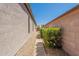 A low maintenance side yard is perfect for adding a dog run, storage or play area at 25860 N 47Th Pl, Phoenix, AZ 85050