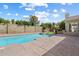 A large pool with diving board complements a desert landscaped block fenced backyard at 3671 S Greythorne Way, Chandler, AZ 85248