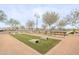 Community games area includes benches and cornhole setup, providing a fun space for outdoor activities at 4084 E Caitlin Dr, San Tan Valley, AZ 85140