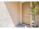 Close up of the front door featuring a pot plant at 4084 E Caitlin Dr, San Tan Valley, AZ 85140