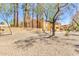 A view of the complex sign, with mature landscaping and a clear sky at 8055 E Thomas Rd # B208, Scottsdale, AZ 85251