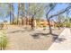 A view of the complex sign, with mature landscaping and trees at 8055 E Thomas Rd # B208, Scottsdale, AZ 85251