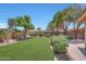 Well-maintained backyard with green grass and privacy landscaping at 8443 E Via De Los Libros --, Scottsdale, AZ 85258
