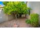Side yard walkway with natural stone and a lemon tree, providing a tranquil outdoor space at 6428 E Nisbet Rd, Scottsdale, AZ 85254