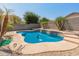 Sparkling pool featuring a dolphin mosaic with mature palm trees, creating a backyard retreat at 9852 W Salter Dr, Peoria, AZ 85382