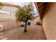 Backyard with an orange tree at 1139 E Stephens Dr, Tempe, AZ 85283