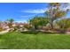 Manicured backyard with plush grass, mature trees, flowering shrubs, and private pool area at 12225 E Cortez Dr, Scottsdale, AZ 85259