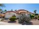 Single-story home with desert landscaping, mature plants, and a two-car garage at 14248 N 56Th Pl, Scottsdale, AZ 85254