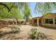 Expansive backyard showcases mature trees, low-maintenance landscaping and desert scenery at 20007 N Organ Pipe Dr, Surprise, AZ 85374