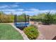 Backyard with trampoline and manicured landscaping features plants and flowers, as well as a stone pathway at 2106 E Beth Dr, Phoenix, AZ 85042