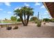 Landscaped backyard featuring palm trees and cacti with golf course views at 2461 Leisure World --, Mesa, AZ 85206