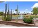 Picturesque view of lush golf course with water feature and vibrant landscaping at 2461 Leisure World --, Mesa, AZ 85206