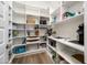 Spacious walk-in pantry with ample shelving for organized food storage and small appliances in a bright, clean space at 2885 N 164Th Dr, Goodyear, AZ 85395